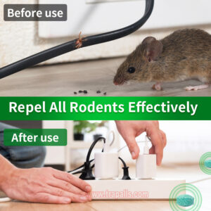 Indoor Outdoor Safe Non-Toxic Natural Peppermint Oil Rodent Repellent Tablets Mouse Repellent Balls - Image 9