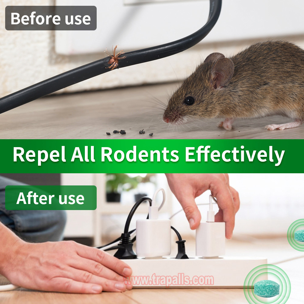 Indoor Outdoor Safe Non-Toxic Natural Peppermint Oil Rodent Repellent Tablets Mouse Repellent Balls - Image 9