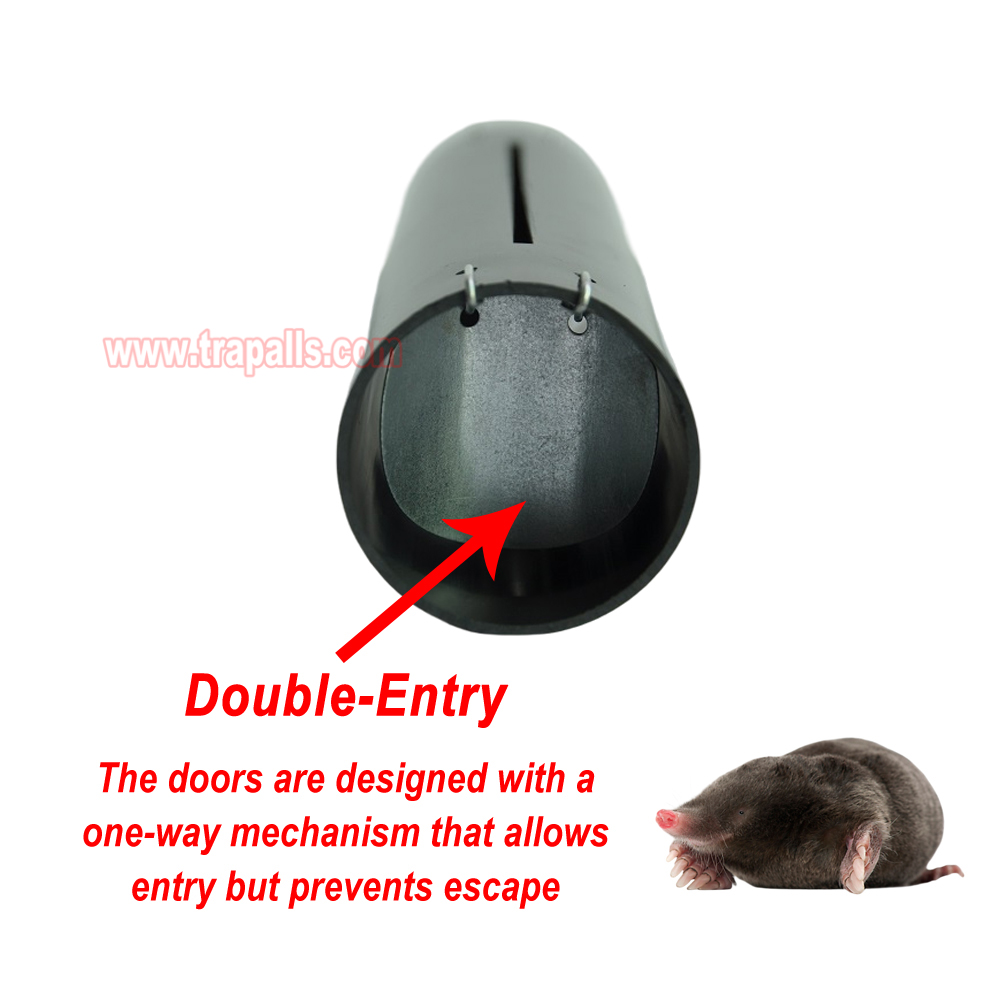 Garden Lawn Humane Double Entry Tunnel Gopher Control Vole Catcher Underground Trap Mole Trap - Image 4