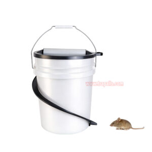 Reusable 5 Gallon Bucket Profile Spiral Wrap Around Ramp Rat Rodent Control Spiral Mouse Trap Bucket - Image 2
