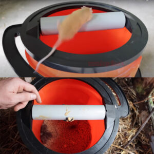 Reusable 5 Gallon Bucket Profile Spiral Wrap Around Ramp Rat Rodent Control Spiral Mouse Trap Bucket - Image 6