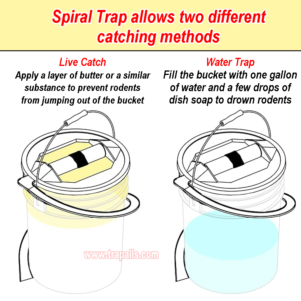 Reusable 5 Gallon Bucket Profile Spiral Wrap Around Ramp Rat Rodent Control Spiral Mouse Trap Bucket - Image 8