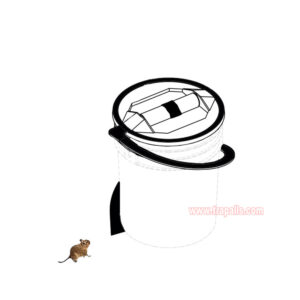 Reusable 5 Gallon Bucket Profile Spiral Wrap Around Ramp Rat Rodent Control Spiral Mouse Trap Bucket - Image 10