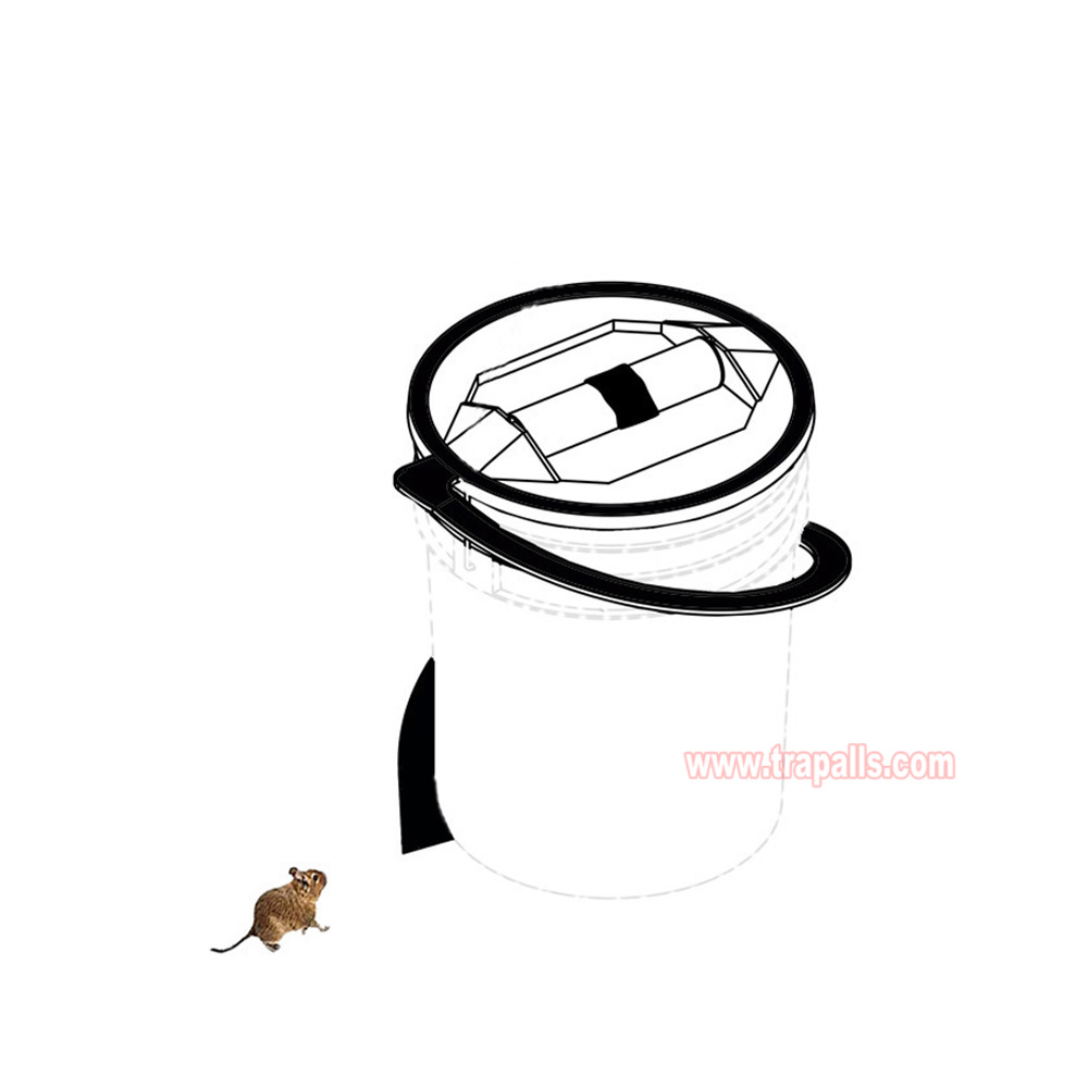 Reusable 5 Gallon Bucket Profile Spiral Wrap Around Ramp Rat Rodent Control Spiral Mouse Trap Bucket - Image 10