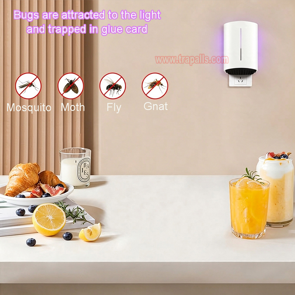 Indoor Home Plug-in UV Light Bug Zapper Sticky Flying Insect Trap Glue Board Mosquito Killer Lamp - Image 11
