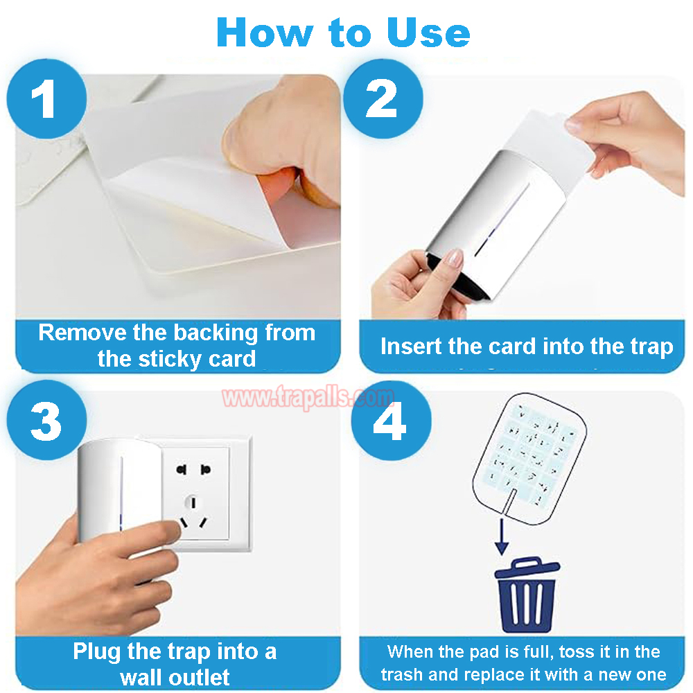 Indoor Home Plug-in UV Light Bug Zapper Sticky Flying Insect Trap Glue Board Mosquito Killer Lamp - Image 4