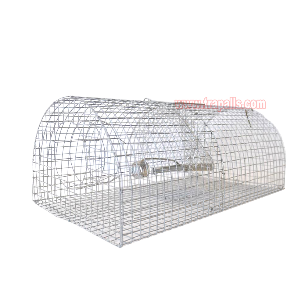 Indoor Outdoor Humane Live Catch Multi-catch Auto Reset Rat Control Mouse Trap Cage - Image 2