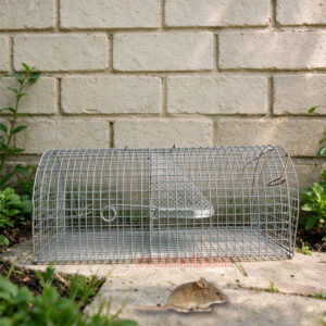 Indoor Outdoor Humane Live Catch Multi-catch Auto Reset Rat Control Mouse Trap Cage - Image 5