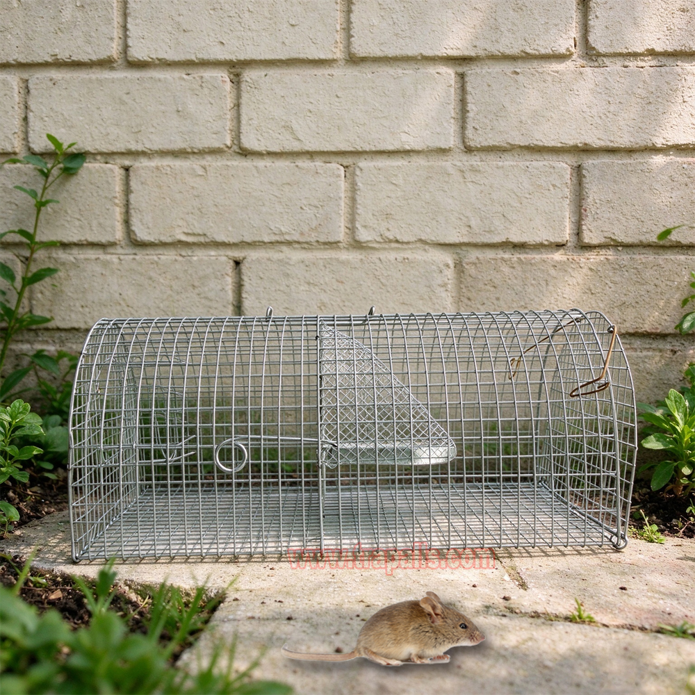 Indoor Outdoor Humane Live Catch Multi-catch Auto Reset Rat Control Mouse Trap Cage - Image 5
