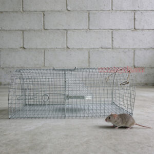 Indoor Outdoor Humane Live Catch Multi-catch Auto Reset Rat Control Mouse Trap Cage - Image 10