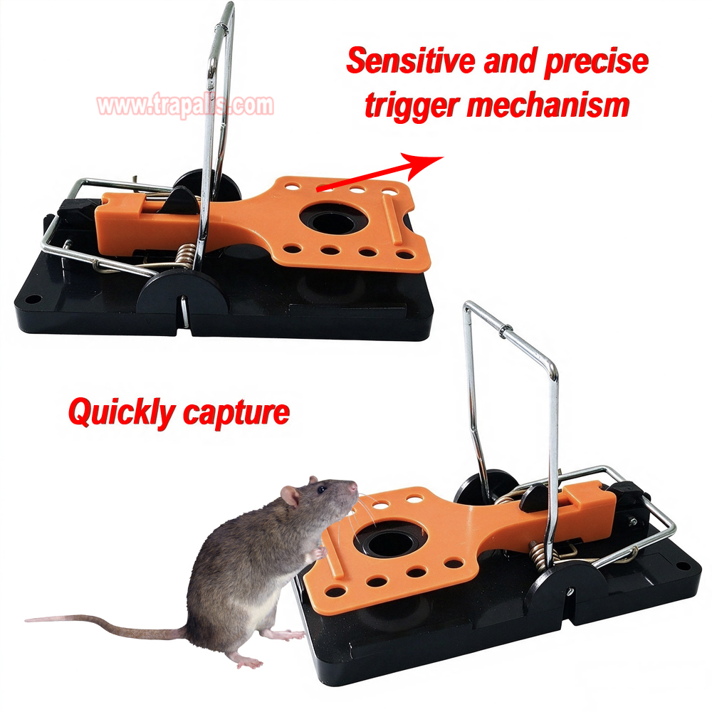Indoor Warehouse Reusable High Sensitivity Rat Trap with Fluorescent Trigger Plate Rodent Killer Rat Snap Trap - Image 6