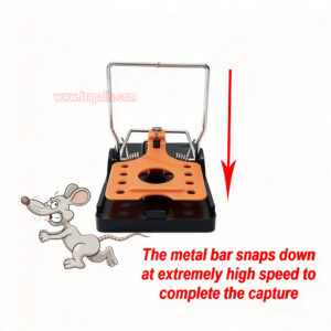 Indoor Warehouse Reusable High Sensitivity Rat Trap with Fluorescent Trigger Plate Rodent Killer Rat Snap Trap - Image 8