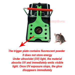 Indoor Warehouse Reusable High Sensitivity Rat Trap with Fluorescent Shining Trigger Plate and Bait Rodent Killer Rat Snap Trap with Bait - Image 7