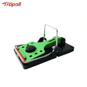 Indoor Warehouse Reusable High Sensitivity Rat Trap with Fluorescent Shining Trigger Plate and Bait Rodent Killer Rat Snap Trap with Bait