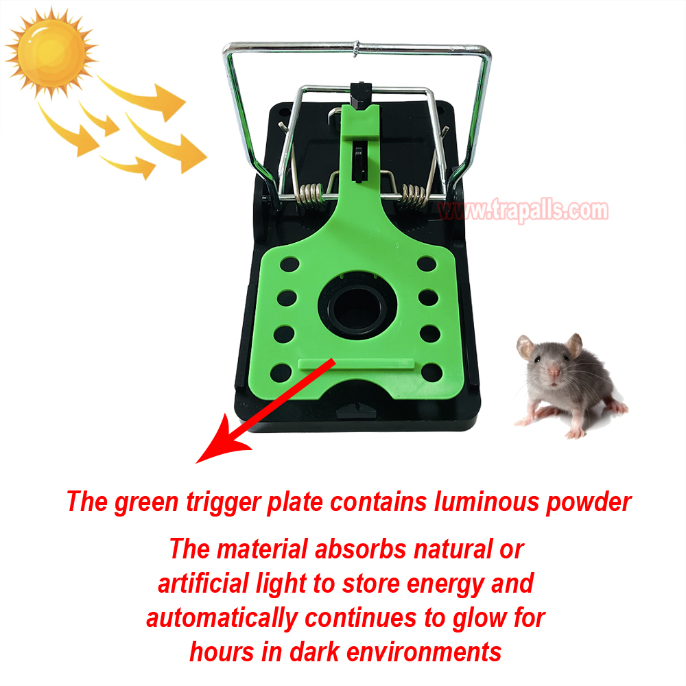 Indoor Warehouse Reusable High Sensitivity Rat Trap with Luminous Trigger Plate Rodent Killer Rat Snap Trap - Image 7