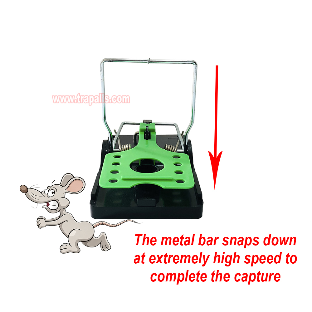 Indoor Warehouse Reusable High Sensitivity Rat Trap with Luminous Trigger Plate Rodent Killer Rat Snap Trap - Image 8