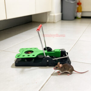 Indoor Warehouse Reusable High Sensitivity Rat Trap with Luminous Shining Trigger Plate Rodent Killer Rat Snap Trap with Bait - Image 11