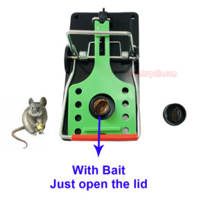 Indoor Warehouse Reusable High Sensitivity Rat Trap with Luminous Shining Trigger Plate Rodent Killer Rat Snap Trap with Bait - Image 4