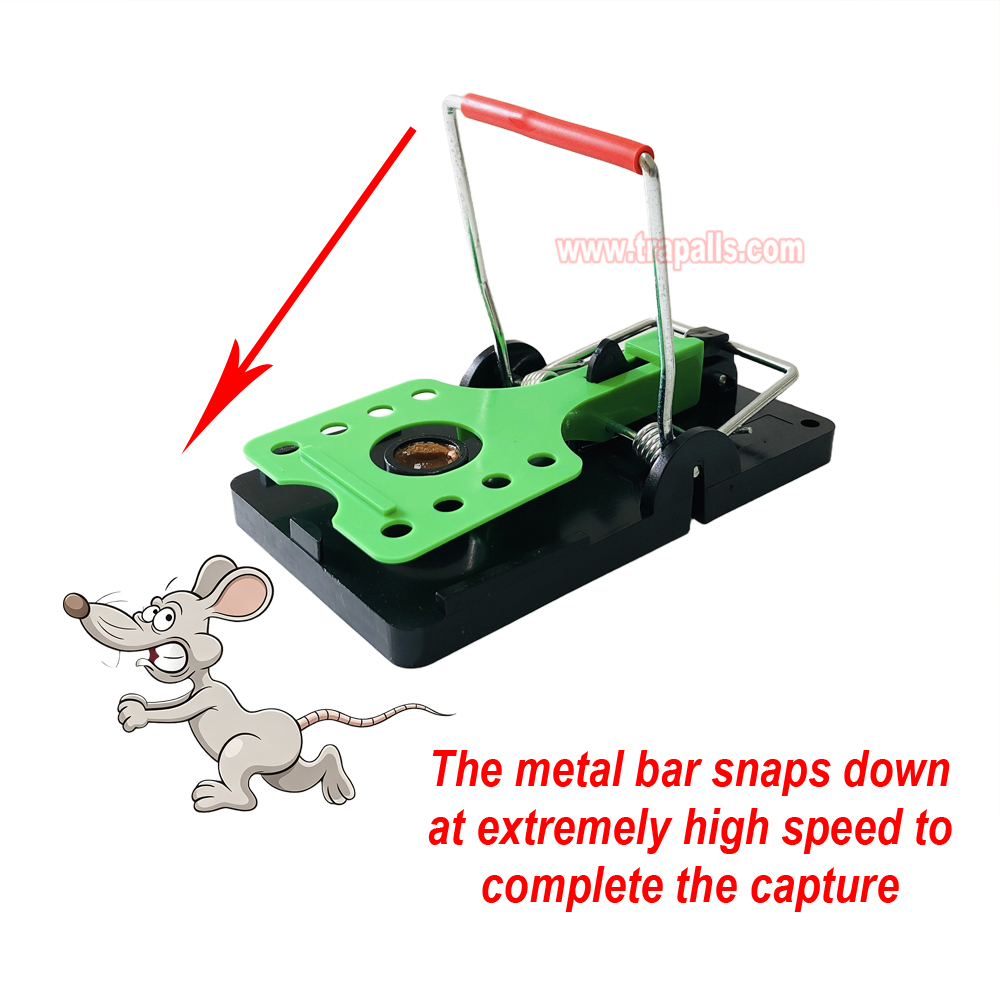 Indoor Warehouse Reusable High Sensitivity Rat Trap with Luminous Shining Trigger Plate Rodent Killer Rat Snap Trap with Bait - Image 8