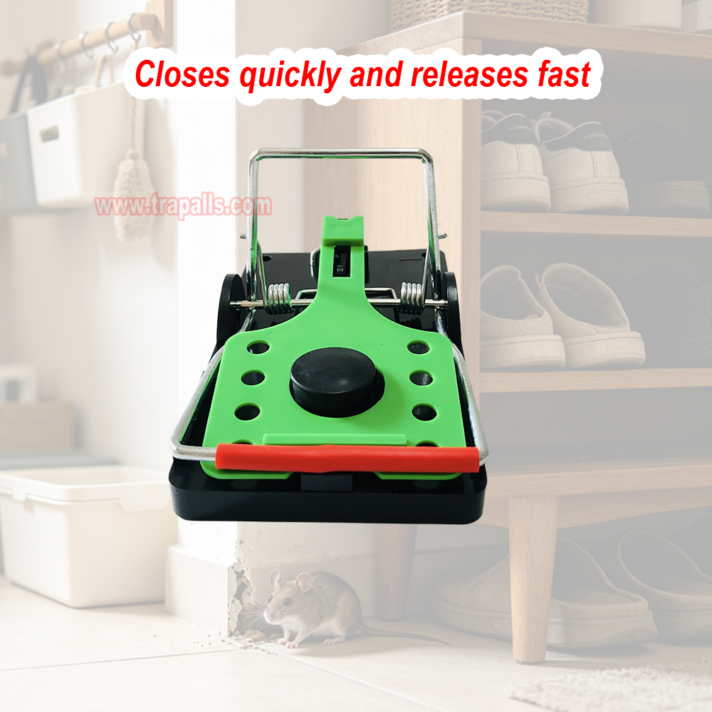Indoor Warehouse Reusable High Sensitivity Rat Trap with Luminous Shining Trigger Plate Rodent Killer Rat Snap Trap with Bait - Image 10