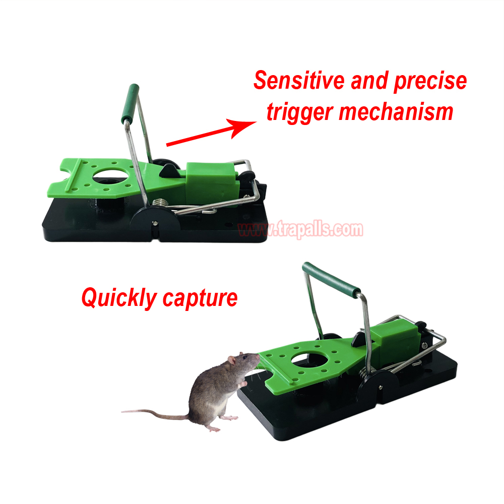 Indoor Warehouse Humane Plastic Pest Control Quick Catch Rodent Killer Mouse Snap Trap Glow under Ultraviolet Light - Image 6