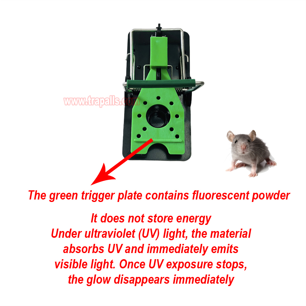 Indoor Warehouse Humane Plastic Pest Control Quick Catch Rodent Killer Mouse Snap Trap Glow under Ultraviolet Light - Image 7
