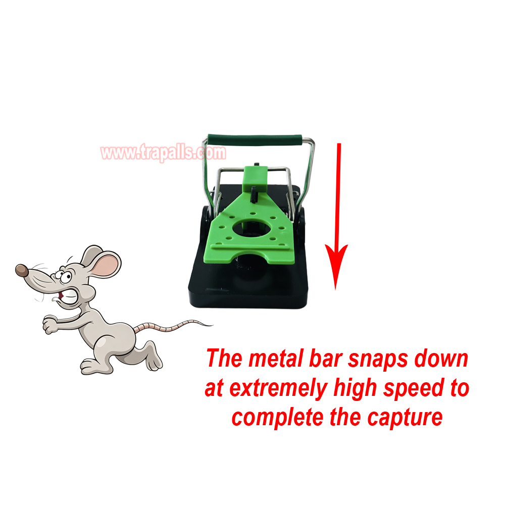 Indoor Warehouse Humane Plastic Pest Control Quick Catch Rodent Killer Mouse Snap Trap Glow under Ultraviolet Light - Image 8