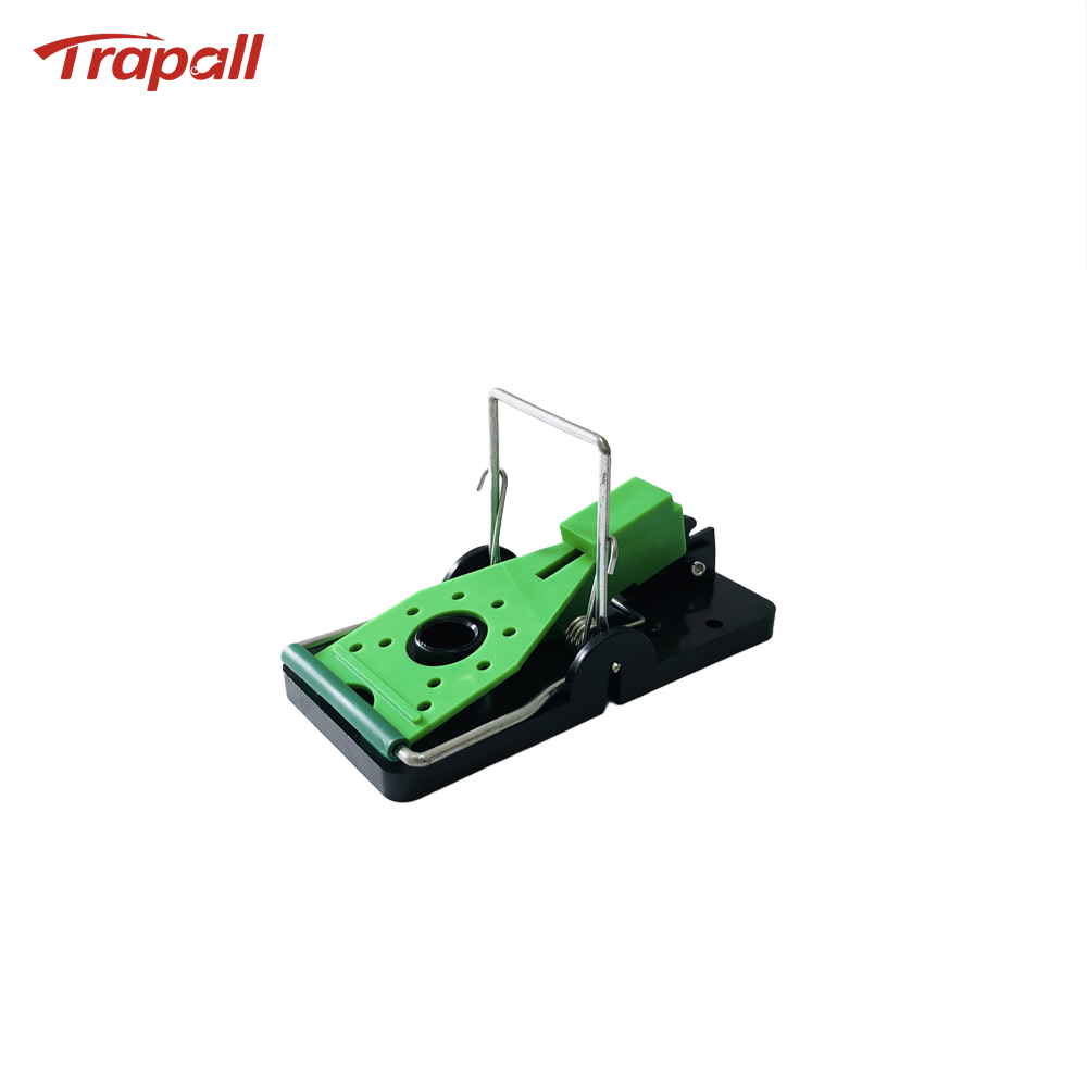 Indoor Warehouse Humane Plastic Pest Control Quick Catch Rodent Killer Mouse Snap Trap Glow under Ultraviolet Light