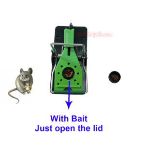 Indoor Warehouse Reusable High Sensitivity Mouse Trap with Luminous Shining Trigger Plate and Bait Mouse Snap Trap - Image 4