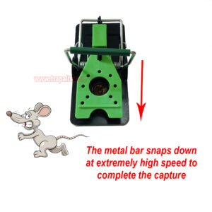 Indoor Warehouse Reusable High Sensitivity Mouse Trap with Luminous Shining Trigger Plate and Bait Mouse Snap Trap - Image 8