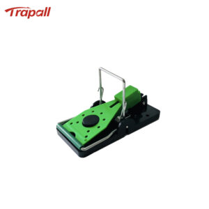 Indoor Warehouse Reusable High Sensitivity Mouse Trap with Luminous Shining Trigger Plate and Bait Mouse Snap Trap