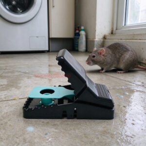 Indoor Reusable Plastic Rodent Control Quick Set Snap Rat Killer with Fluorescent UV Trigger Plate Rat Snap Trap - Image 11