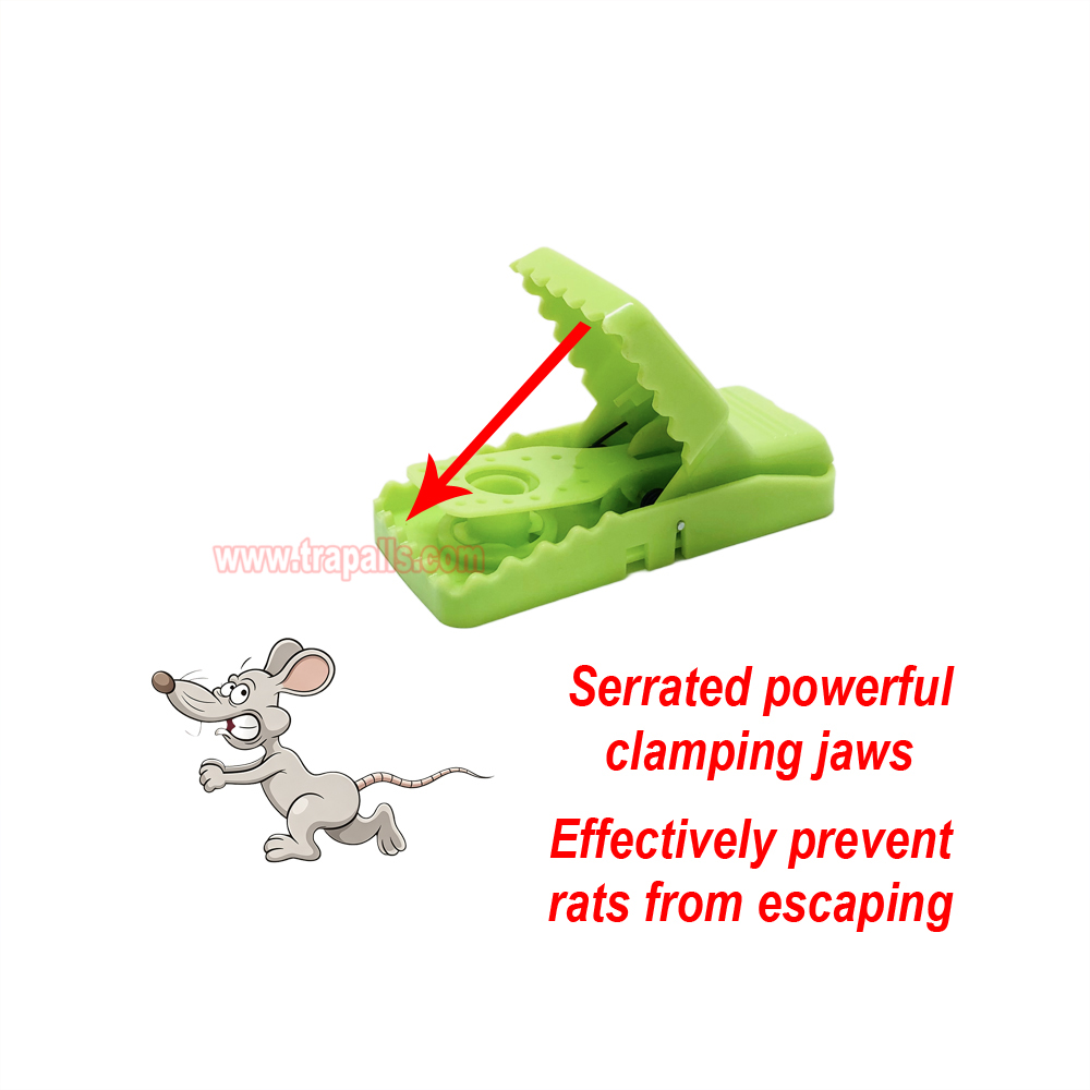 Indoor Reusable Plastic Pest Control Quick Set Snap Mouse Killer with Fluorescent UV Trigger Plate Mouse Snap Trap - Image 8