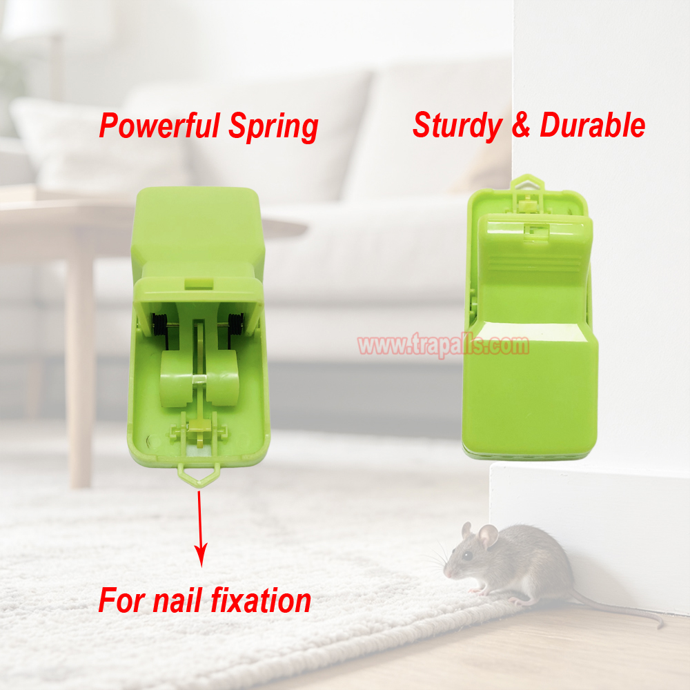 Indoor Reusable Plastic Pest Control Quick Set Snap Mouse Killer with Luminous Shining Trigger Plate Mouse Snap Trap - Image 5