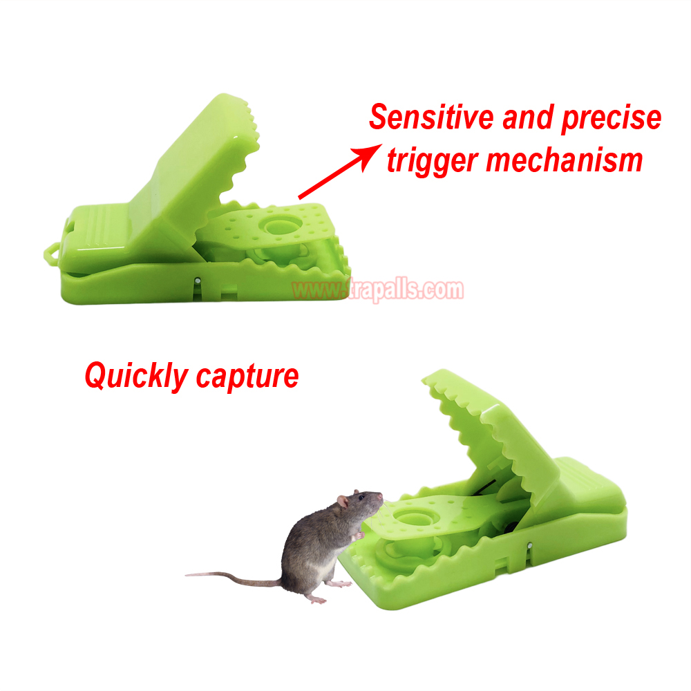 Indoor Reusable Plastic Pest Control Quick Set Snap Mouse Killer with Luminous Shining Trigger Plate Mouse Snap Trap - Image 6