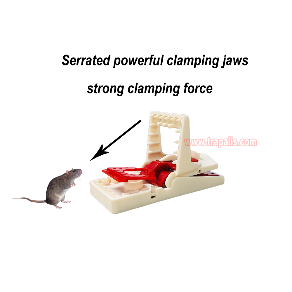 Indoor Humane Reusable Plastic Quick Catch Pest Control Mouse Snap Trap - Image 6