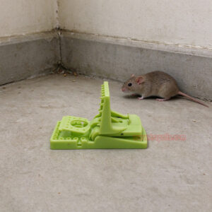 Indoor Humane Plastic Quick Catch Mouse Trap with Fluorescent Trigger Plate Mouse Snap Trap Glow Under Ultraviolet Light - Image 12