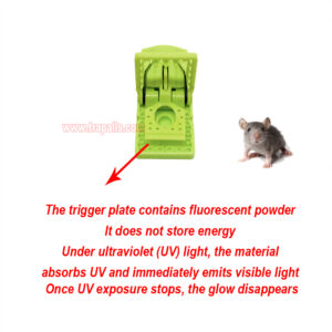 Indoor Humane Plastic Quick Catch Mouse Trap with Fluorescent Trigger Plate Mouse Snap Trap Glow Under Ultraviolet Light - Image 7
