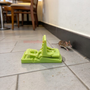Indoor Humane Plastic Quick Catch Mouse Trap with Fluorescent Trigger Plate Mouse Snap Trap Glow Under Ultraviolet Light - Image 10