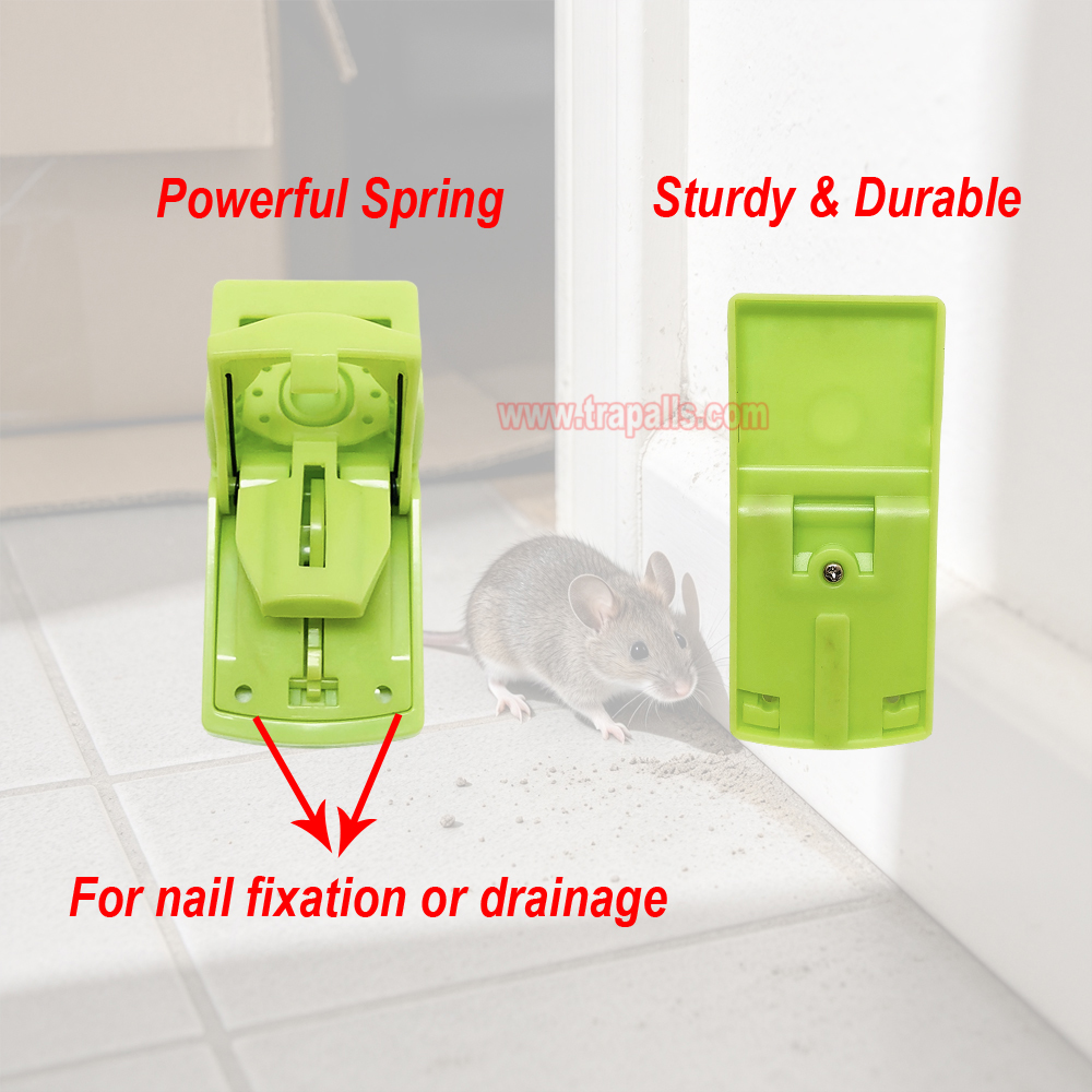 Indoor Humane Plastic Quick Catch Mouse Trap with Luminous Trigger Plate Mouse Snap Trap Glow in the Dark Environment - Image 5