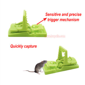 Indoor Humane Plastic Quick Catch Mouse Trap with Luminous Trigger Plate Mouse Snap Trap Glow in the Dark Environment - Image 6