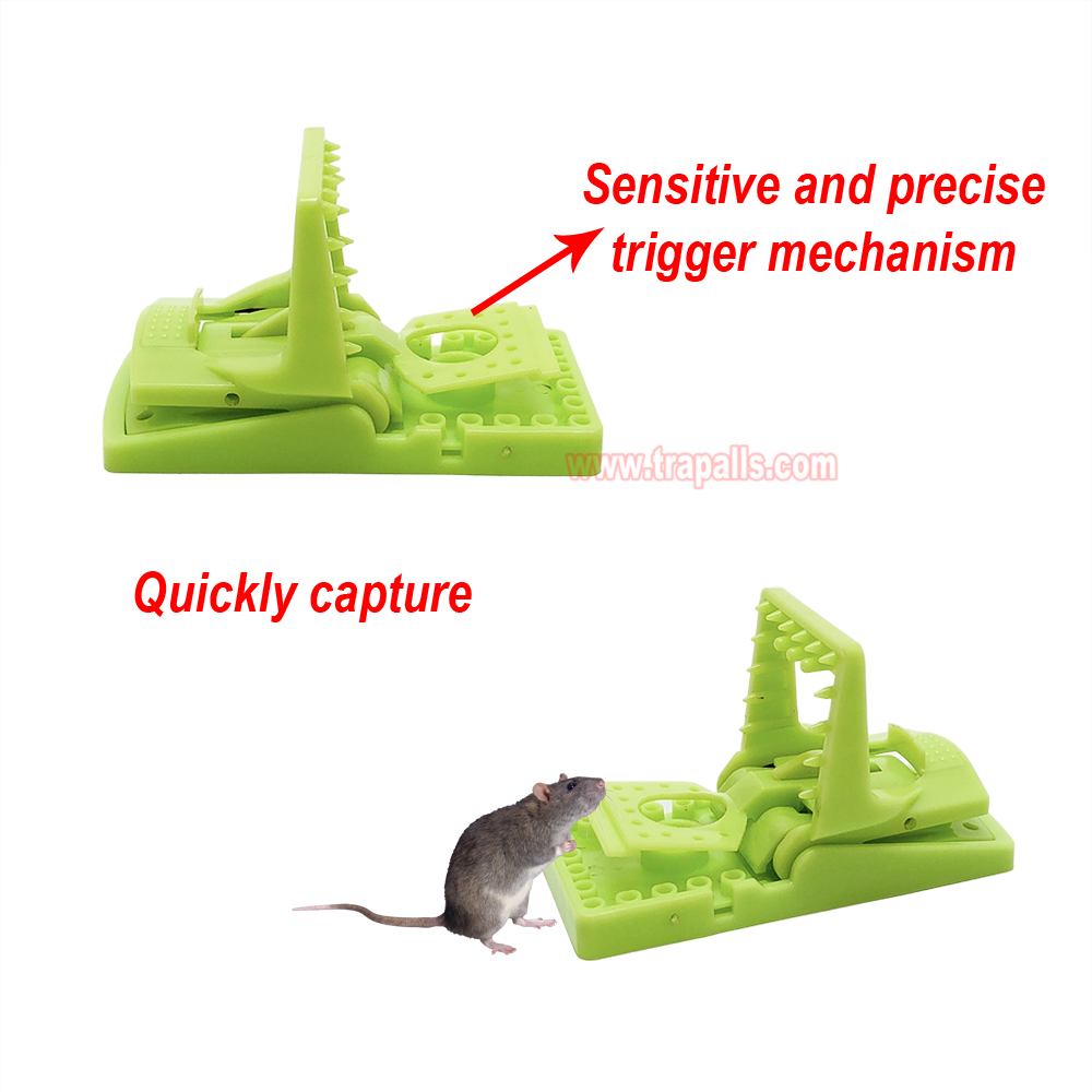 Indoor Humane Plastic Quick Catch Mouse Trap with Luminous Trigger Plate Mouse Snap Trap Glow in the Dark Environment - Image 6