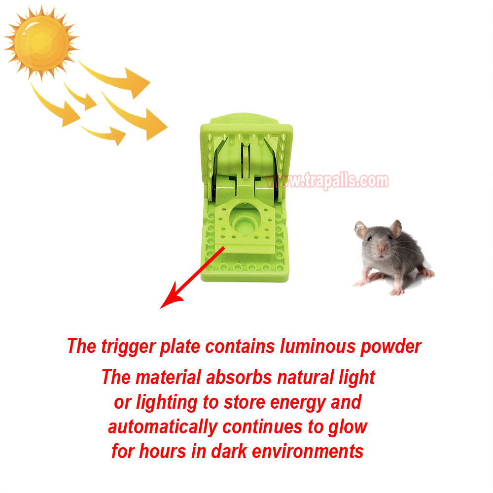 Indoor Humane Plastic Quick Catch Mouse Trap with Luminous Trigger Plate Mouse Snap Trap Glow in the Dark Environment - Image 7
