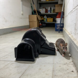 Outdoor Indoor Rat Snap Trap with Tunnel Rat Trap Station with Fluorescent Trigger Plate Glow Under Ultraviolet Light - Image 11