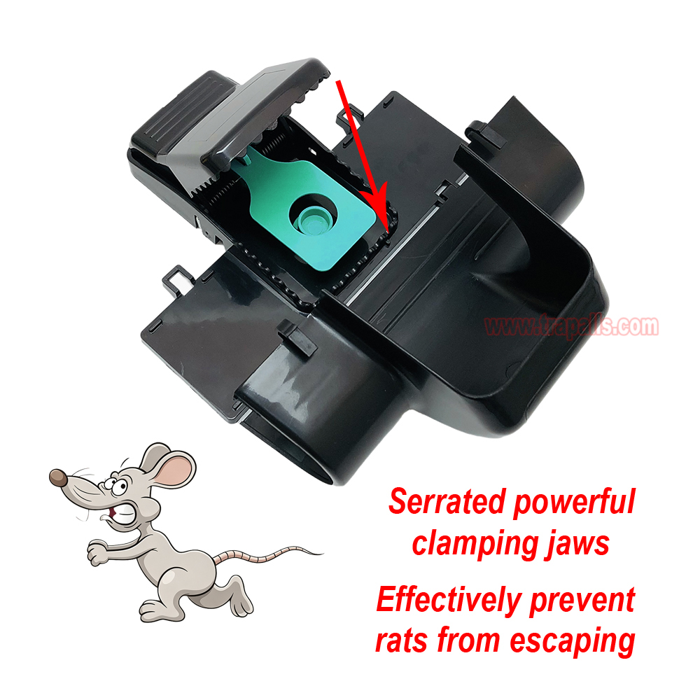 Outdoor Indoor Rat Snap Trap with Tunnel Rat Trap Station with Fluorescent Trigger Plate Glow Under Ultraviolet Light - Image 8