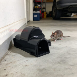 Outdoor Indoor Rat Snap Trap with Tunnel Rat Trap Station with Luminous Trigger Plate Glow in the Dark Environment - Image 12