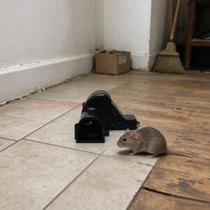 Outdoor Indoor Mouse Snap Trap with Tunnel Mouse Trap Station with Fluorescent Trigger Plate Glow Under Ultraviolet Light - Image 8