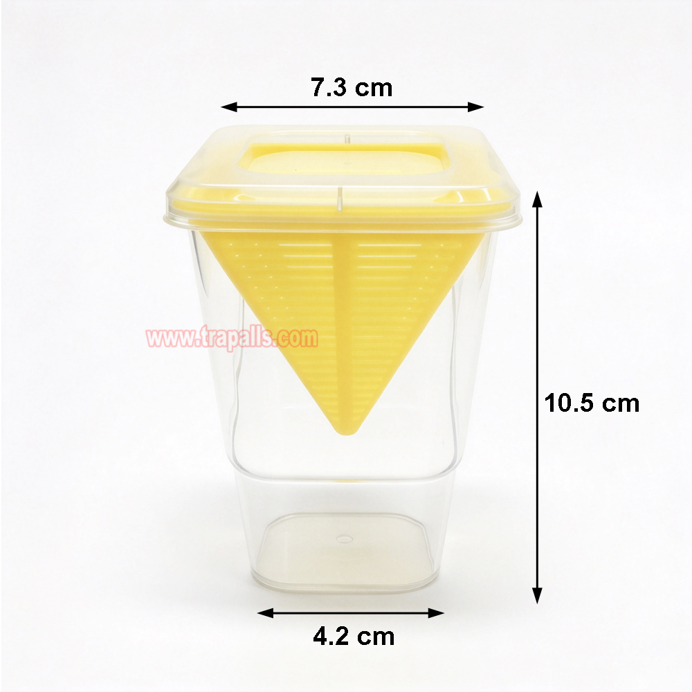 Home Kitchen Reusable Insects Bug Live Catch Release Fruit Fly Yellow Attraction Design Fruit Fly Trap - Image 3