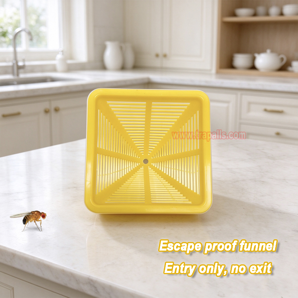 Home Kitchen Reusable Insects Bug Live Catch Release Fruit Fly Yellow Attraction Design Fruit Fly Trap - Image 4