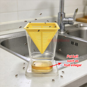 Home Kitchen Reusable Insects Bug Live Catch Release Fruit Fly Yellow Attraction Design Fruit Fly Trap - Image 7